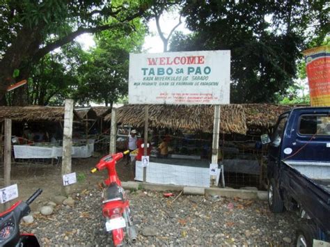 pao dumaguete|PAO .